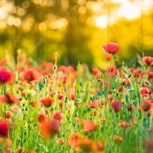 Meet your Friend, Darleen☺️